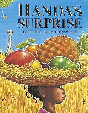 Handa's Surprise Board book