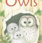 Owls (Usborne First Reading: Level 4)